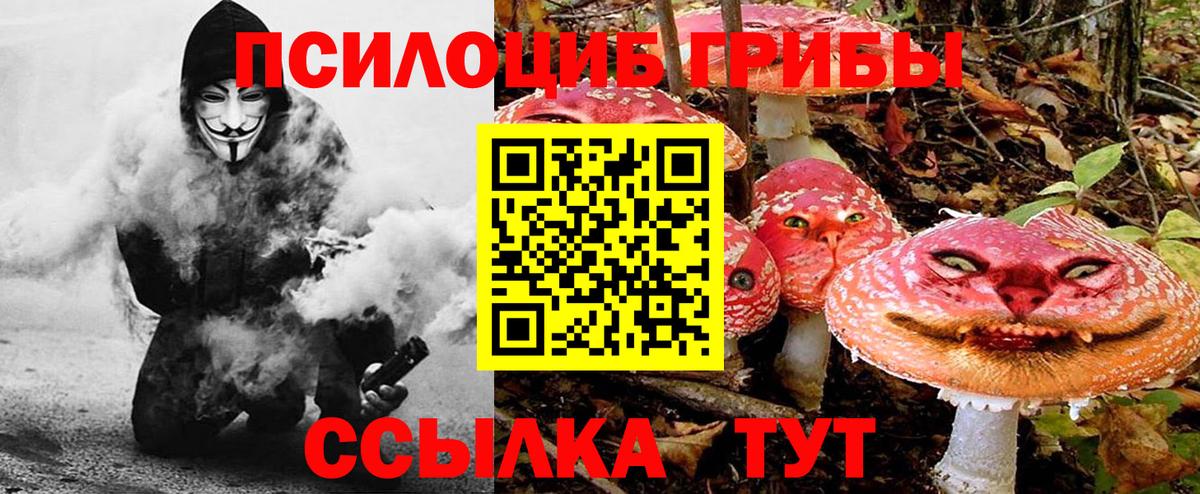 Калуга  Псилоцибиновые грибы мицелий  Галлюциногенные грибы прущие грибы  Вход с VPN 
